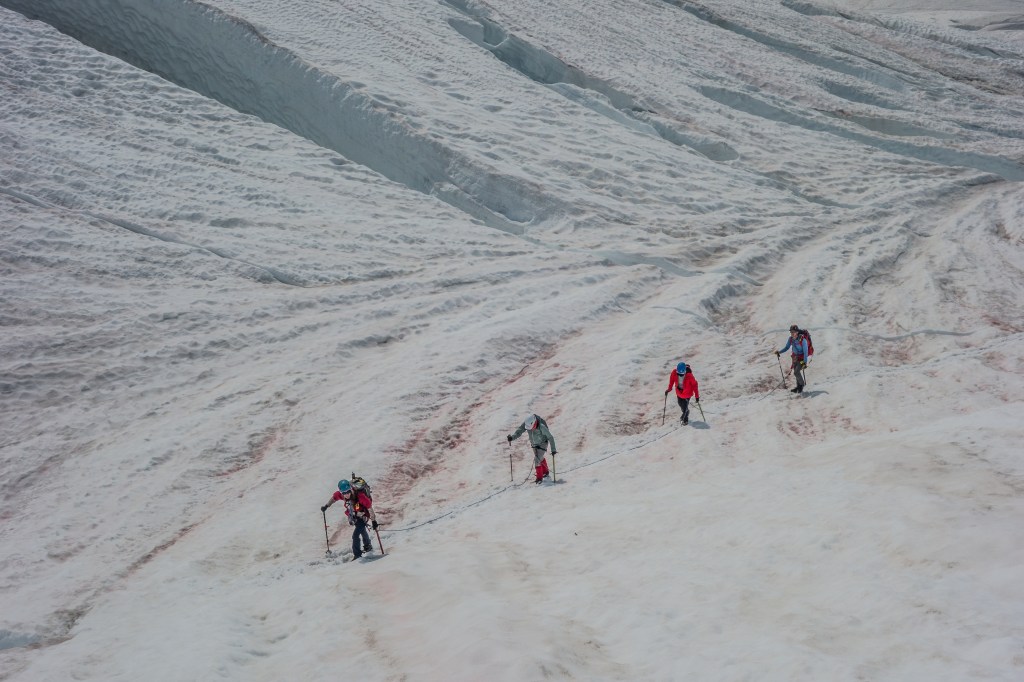 Image of glacier travel on a glacier travel and crevasse rescue course